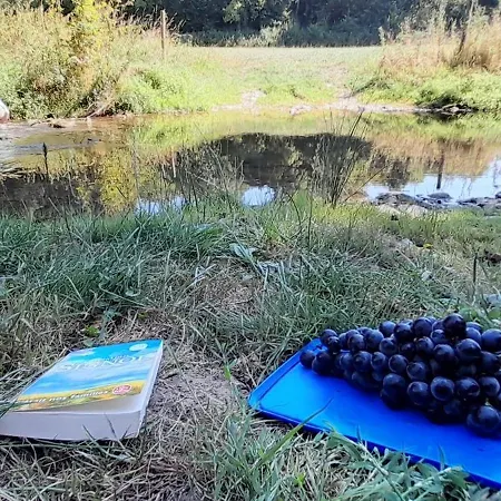 Σπίτι διακοπών A La Ferme La Petite Ecole 14 Personnes *