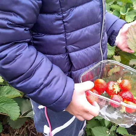 A La Ferme La Petite Ecole 14 Personnes Σπίτι διακοπών Havelange