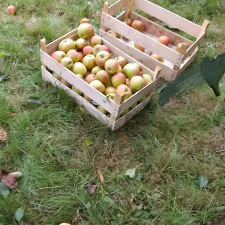 A La Ferme La Petite Ecole 14 Personnes * Havelange